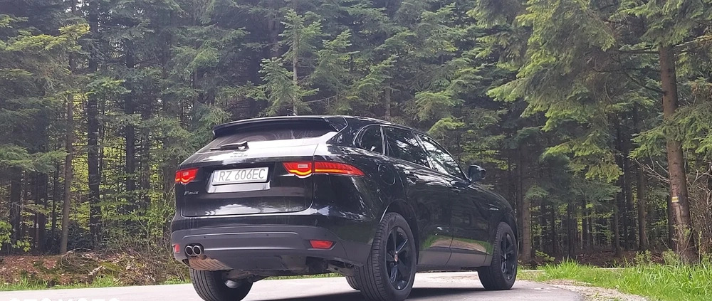 Jaguar F-Pace cena 107500 przebieg: 33000, rok produkcji 2016 z Rzeszów małe 46